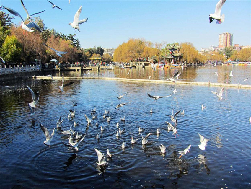 翠湖.jpg